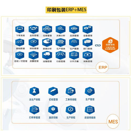 包裝智能工廠 上海迅越與阜陽智能工廠的軟件開發創新實踐