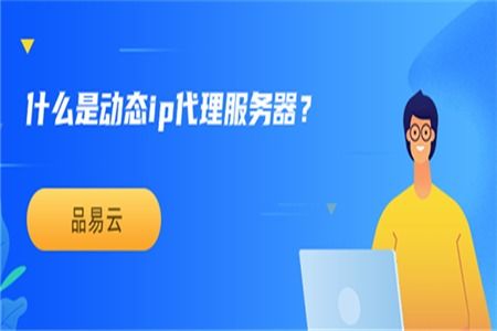 動態IP代理服務器與票務代理服務 概念、應用與差異解析